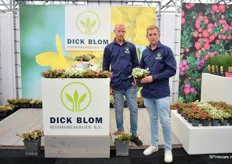 Broers Thijs en Ruud Blom van Dick Blom met de Pernettya, een product die ze in verschillende maten hebben (10,5, 12 en 14cm) en leveren van week 33-44.